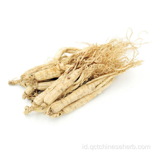 Ginseng Radix Et Rhizoma Berkualitas Tinggi